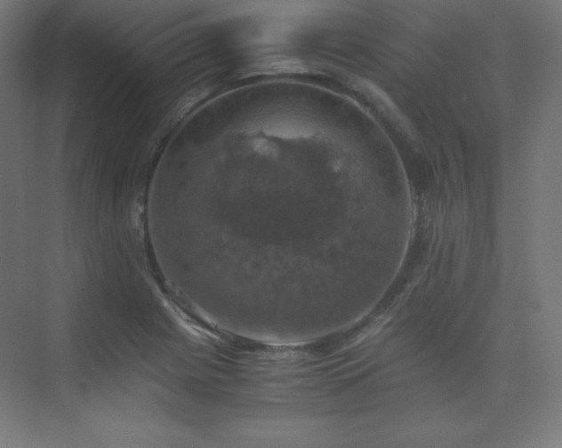X0000075811225200609151138