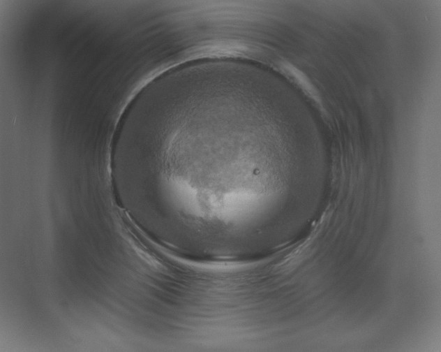 X0000075811226200609151138