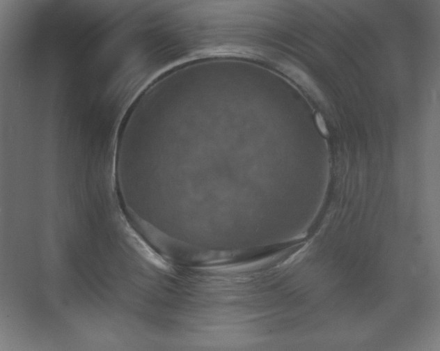 X0000075811228200609151138