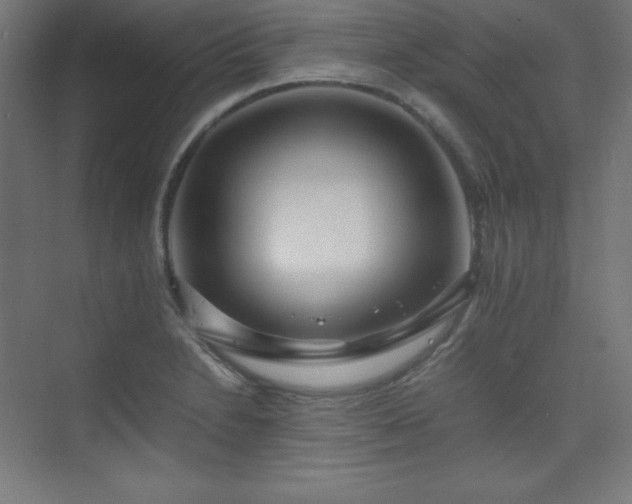 X0000075811230200609151138