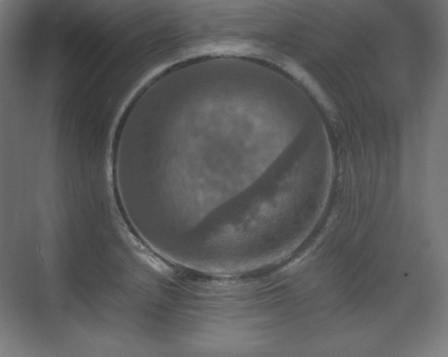 X0000075811232200609151138