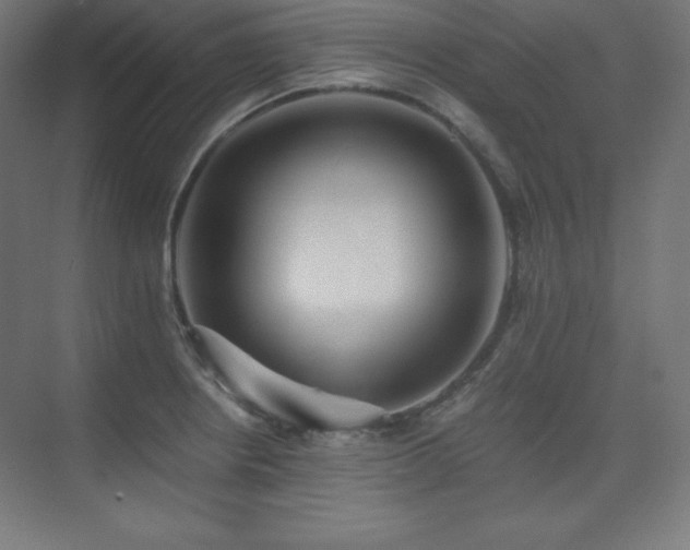 X0000075811234200609151138