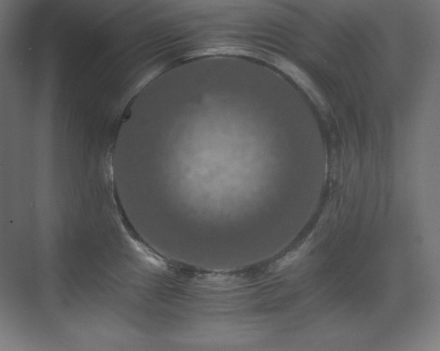 X0000075811241200609151138