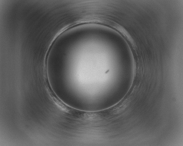 X0000075811242200609151138