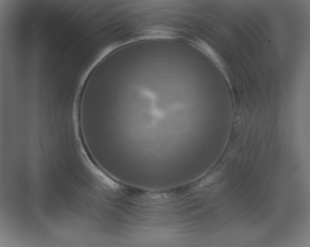 X0000075811243200609151138