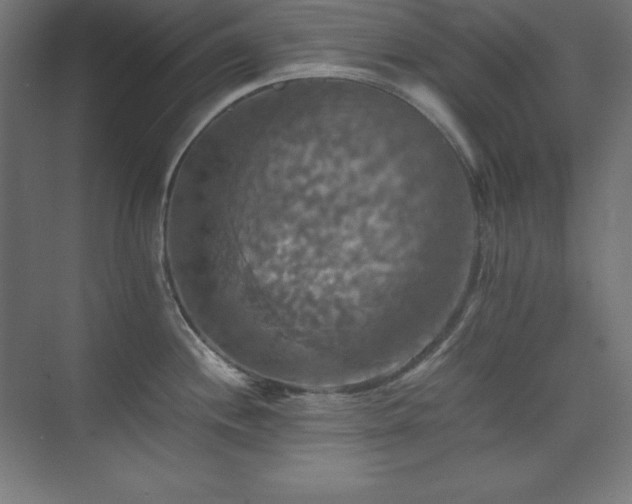 X0000075811244200609151138