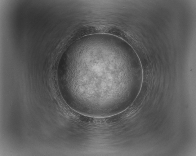 X0000075811249200609151137