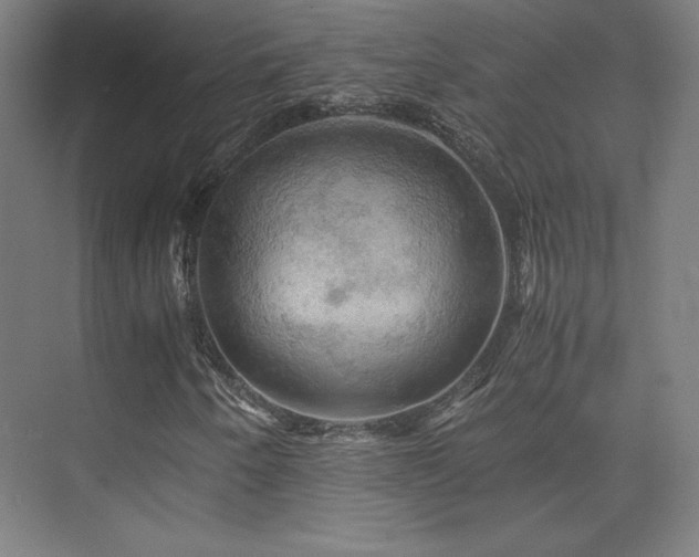 X0000075811250200609151137