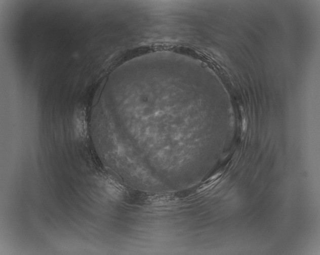 X0000075811252200609151137