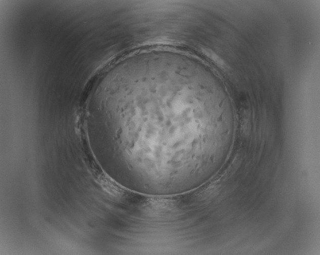 X0000075811258200609151137