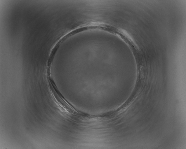 X0000075811260200609151137