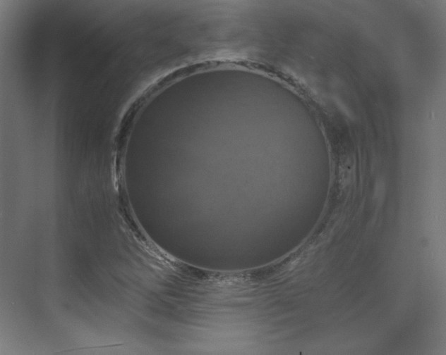 X0000075811262200609151137