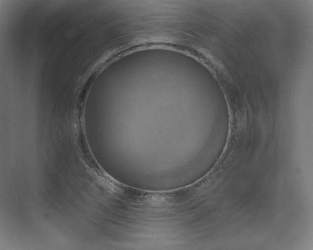 X0000075811266200609151137