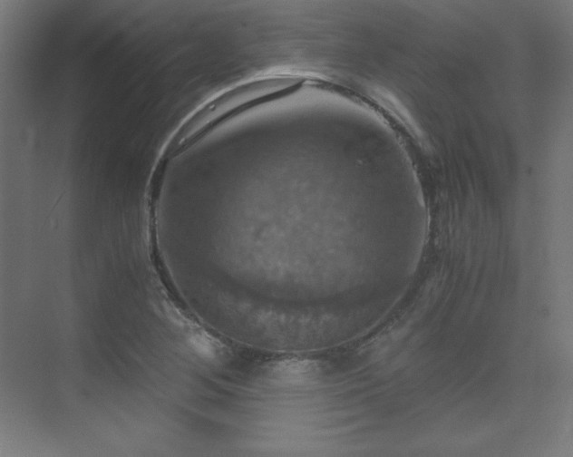 X0000075811268200609151137