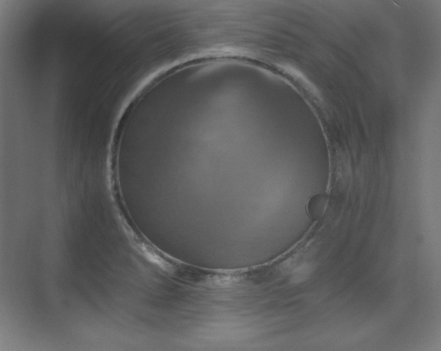 X0000075811278200609151137