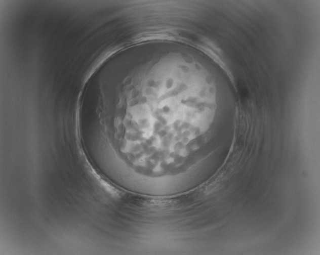 X0000075811290200609151137
