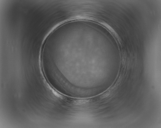 X0000075811294200609151137