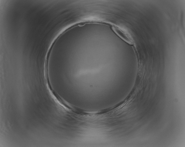 X0000075811295200609151137