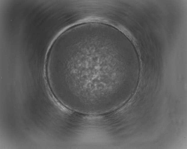 X0000075811296200609151137