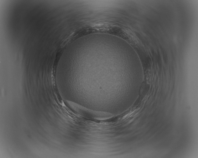 X0000075811298200609151136