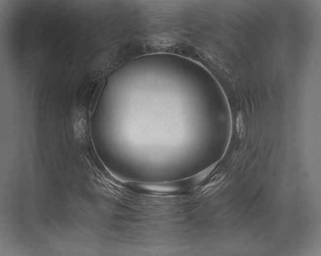 X0000075811299200609151136