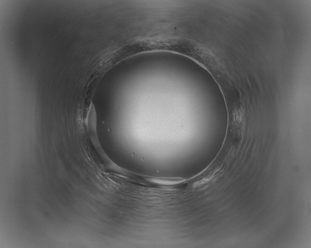 X0000075811300200609151136