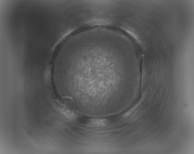 X0000075811309200609151136
