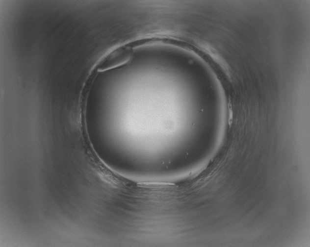 X0000075811316200609151136