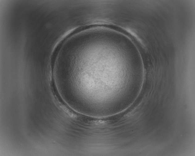 X0000075811317200609151136