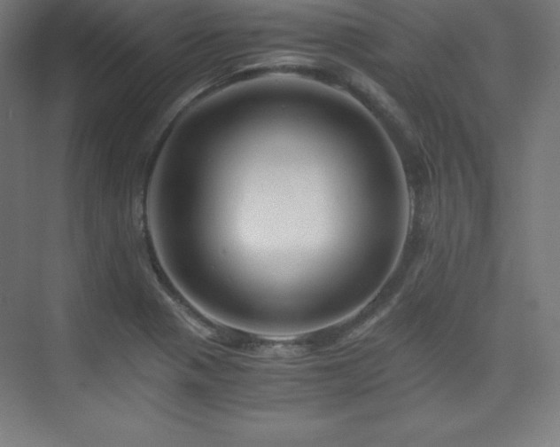 X0000075811321200609151136