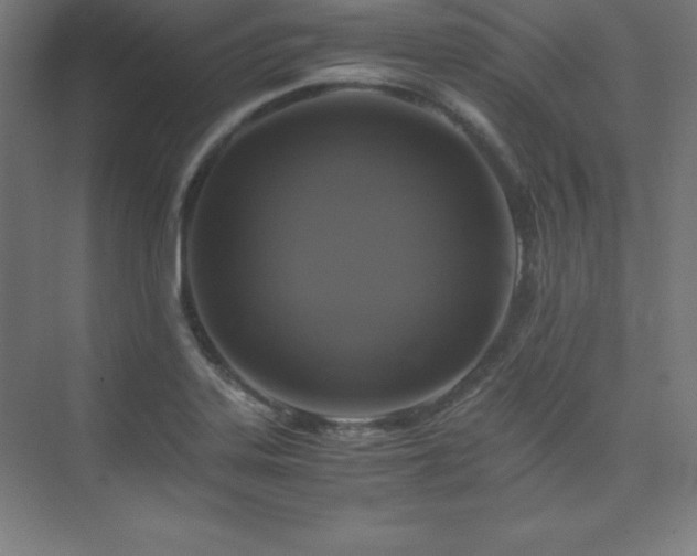 X0000075811323200609151136