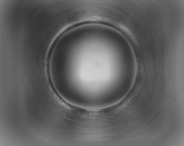 X0000075811326200609151136