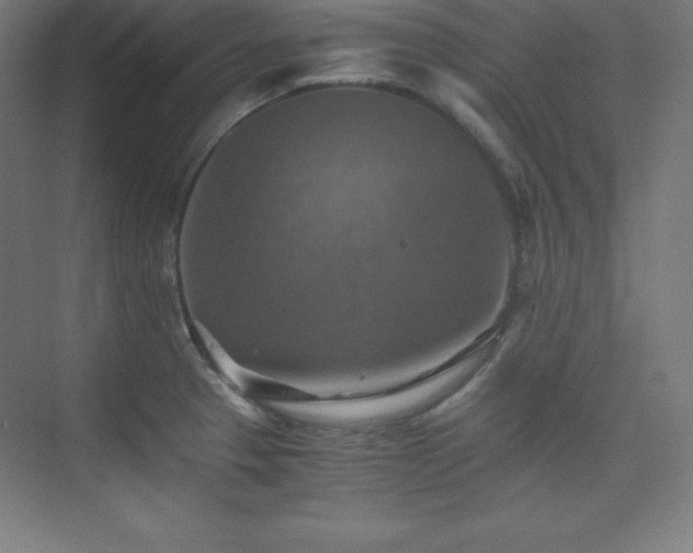 X0000075811329200609151136