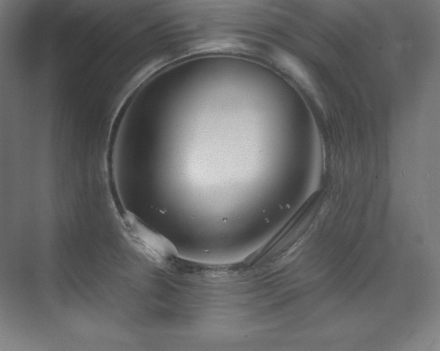 X0000075811330200609151136