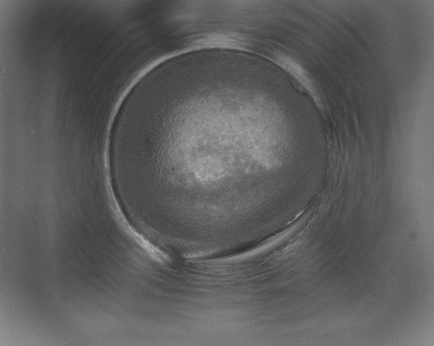 X0000075811339200609151137