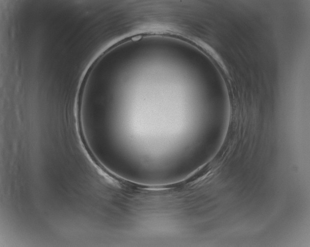 X0000075811343200609151137