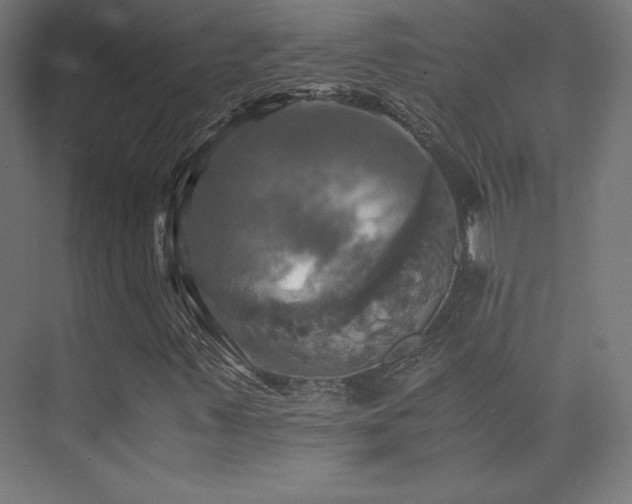 X0000075811347200609151136