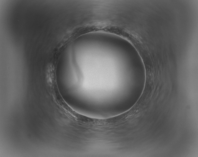 X0000075811349200609151136