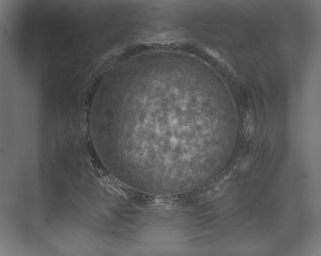 X0000075811350200609151136