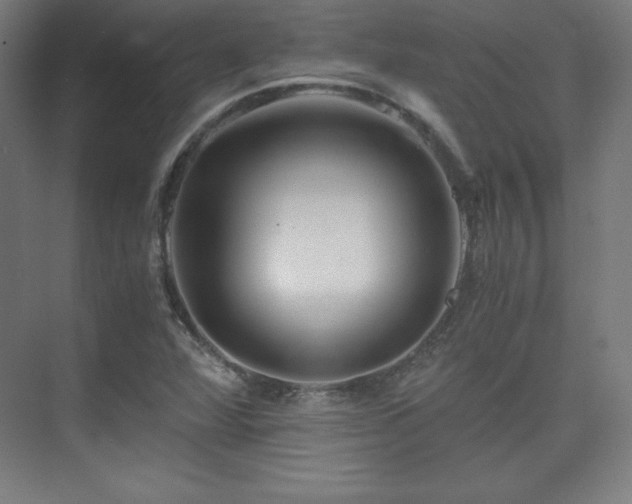 X0000075811360200609151136