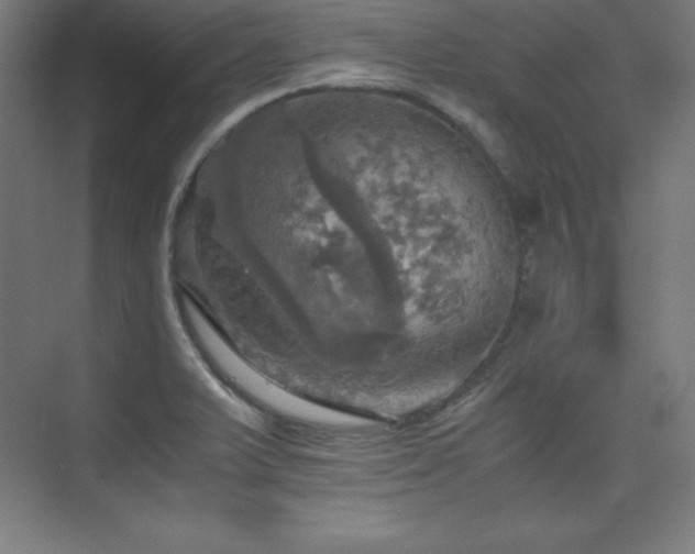 X0000075811375200609151135