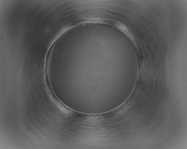 X0000075811378200609151135