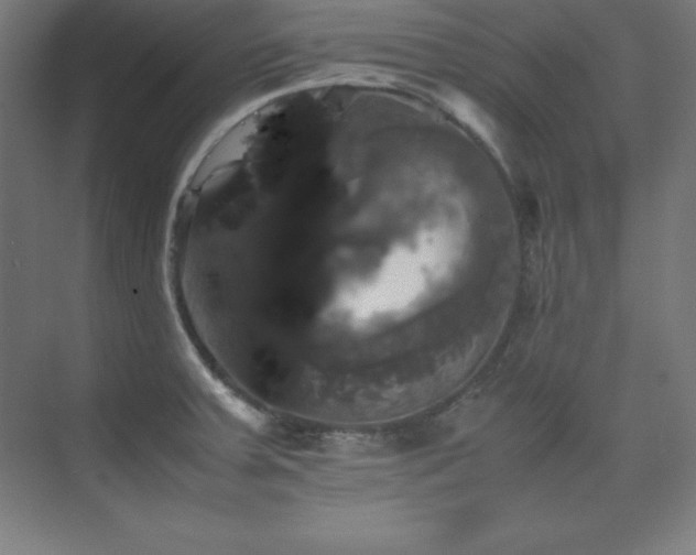X0000075811379200609151135
