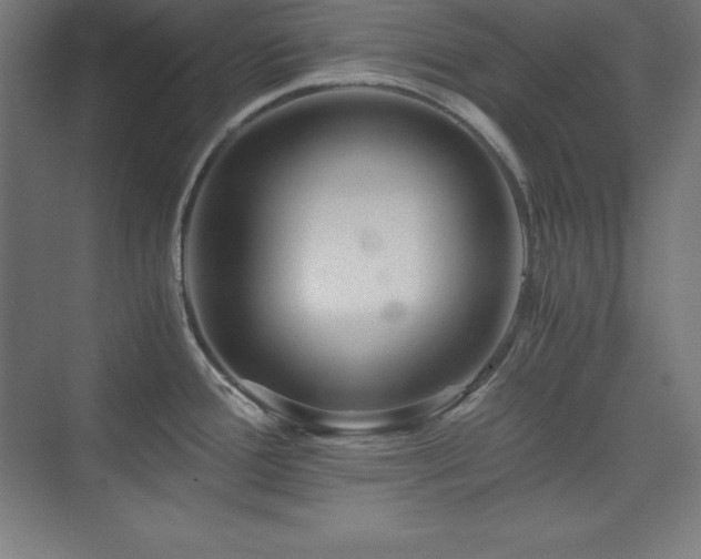 X0000075811388200609151135