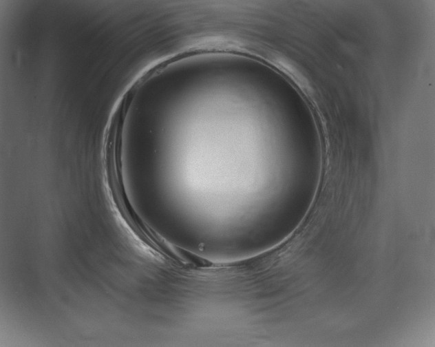 X0000075811392200609151135
