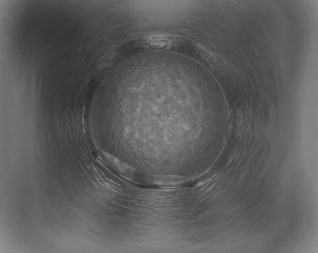 X0000075811394200609151134