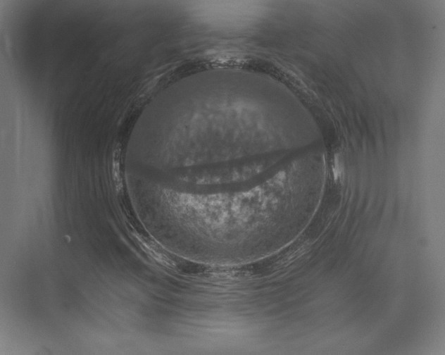 X0000075811396200609151134
