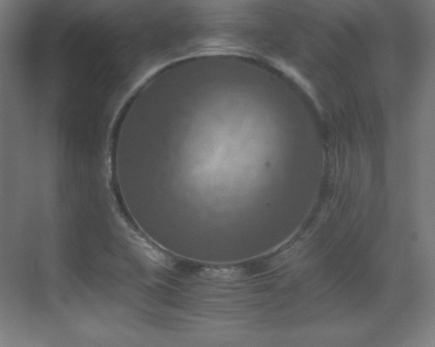 X0000075811415200609151135