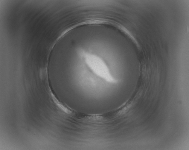 X0000075811417200609151135