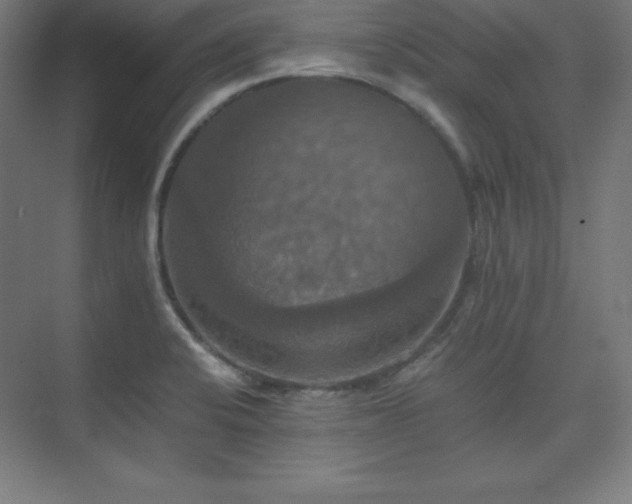 X0000075811424200609151135